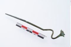 Foto von Bronzeschwanenhalsnadel (NHMW-PRAE-035777)